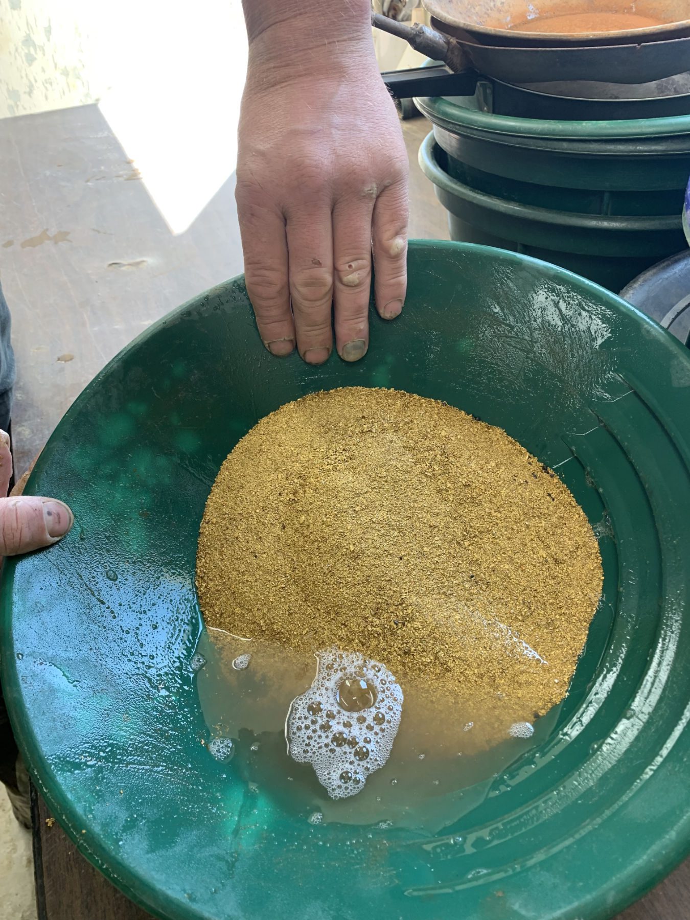Fine gold concentrate spread across a green gold pan