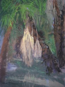 Lagoon at Aqua Caliente, Tucson
