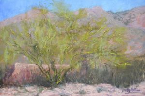 Palo Verde by Outer Wall, Tucson