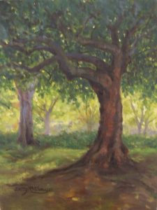 Carob Tree Awaiting Sunset