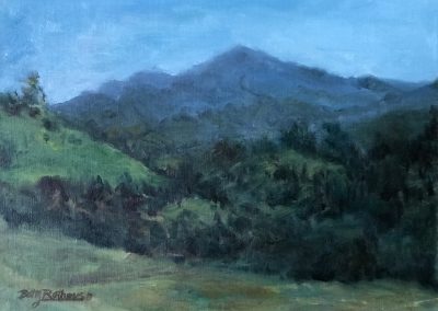 Viewing Mt. Diablo Blues