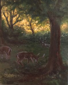 Quiet Afternoon