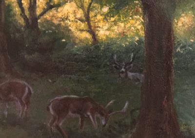 Quiet Afternoon