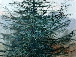 Rhythm and Soul of a Spruce
