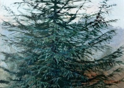 Rhythm and Soul of a Spruce