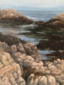 Asilomar Cove With Seaweed