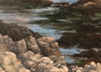 Asilomar Cove With Seaweed