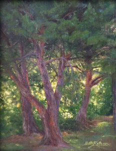 CA Pines w:Last Light