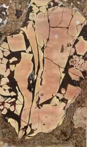 Detail of Sliced Meteorite