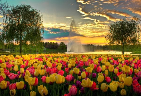 Scouring the World: Denmark